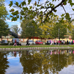 rozsaszin seta a mellrak ellen35