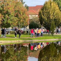 rozsaszin seta a mellrak ellen37