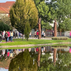 rozsaszin seta a mellrak ellen38