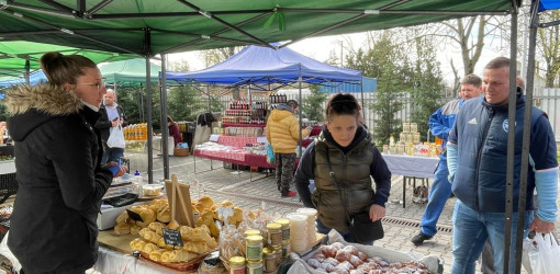 tama husveti termeloi vasar64