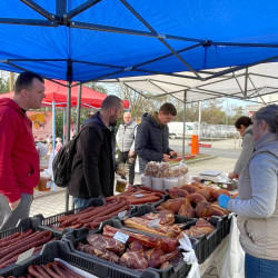 tama husveti termeloi vasar65