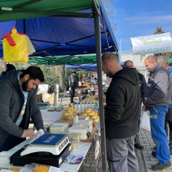 tama husveti termeloi vasar76