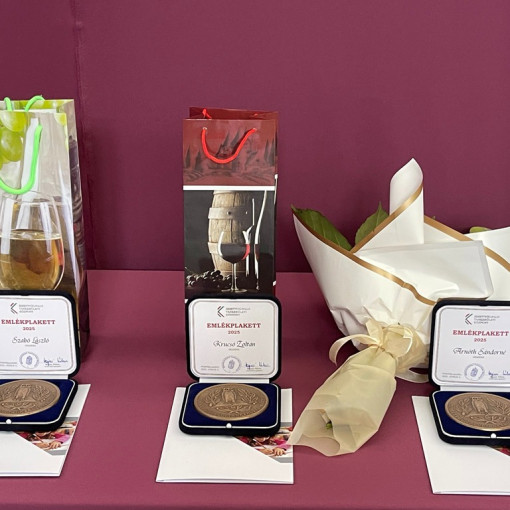 Tankerületi pedagógusnap 2025