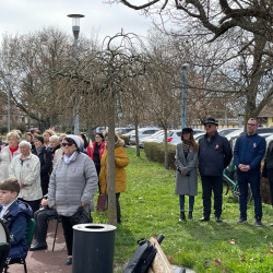 tied vagyok tied hazam75