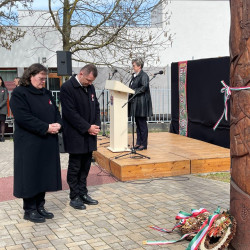 tied vagyok tied hazam88