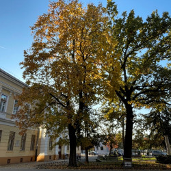 kabos endre emleknap04