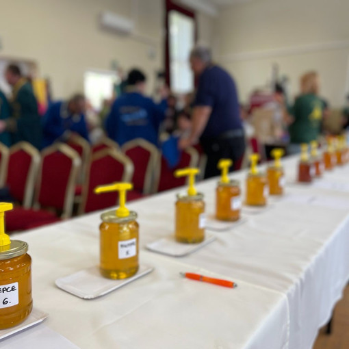 xii bihari mezes nap57