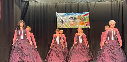 xii bihari mezes nap67