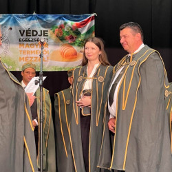 xiii bihari mezes nap026