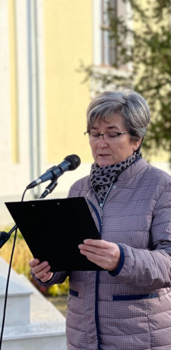 xxvii bihari szamado napok01