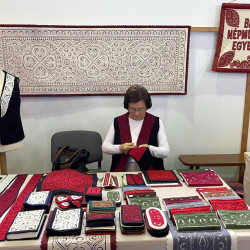 xxvii bihari szamado napok105