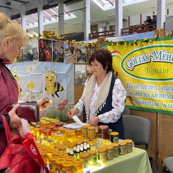 xxvii bihari szamado napok111