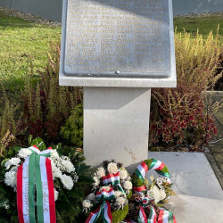 xxvii bihari szamado napok16