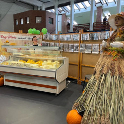 xxvii bihari szamado napok20