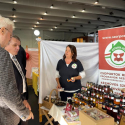 xxvii bihari szamado napok25