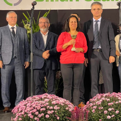 xxvii bihari szamado napok47