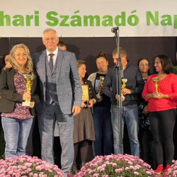 xxvii bihari szamado napok56