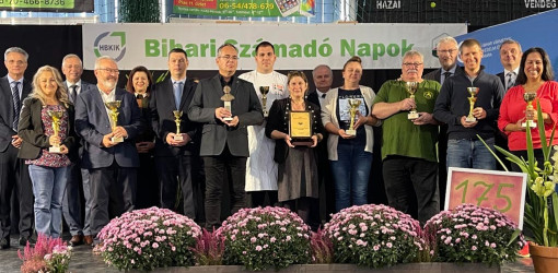 xxvii bihari szamado napok58