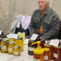 xxvii bihari szamado napok82