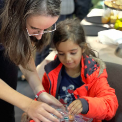 xxvii bihari szamado napok88