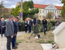 xxviii bihari szamado napok04