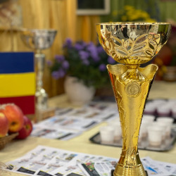 xxviii bihari szamado napok146