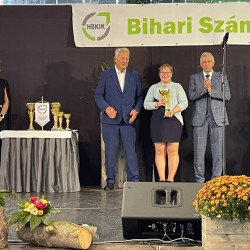 xxviii bihari szamado napok68