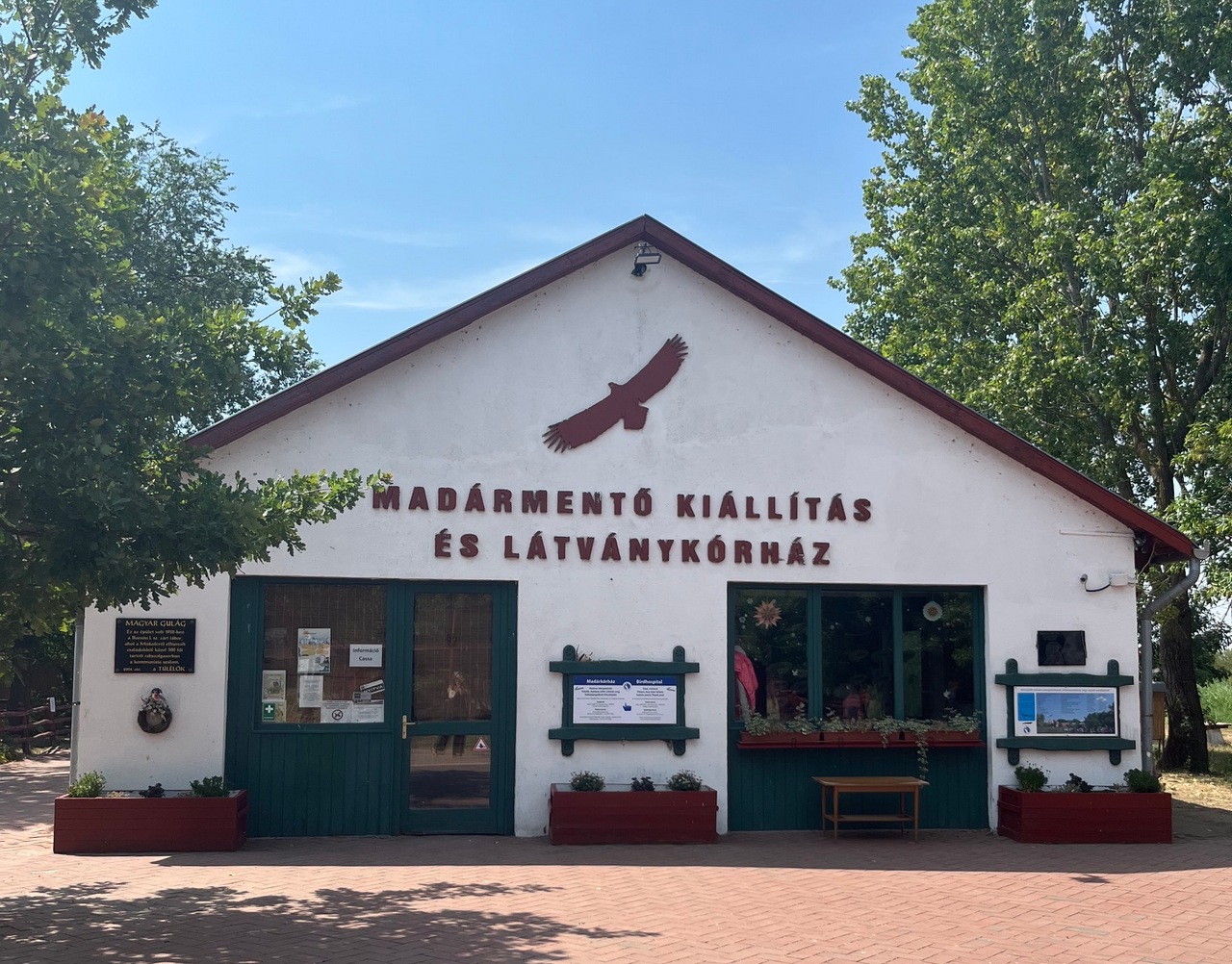 madarmentes02